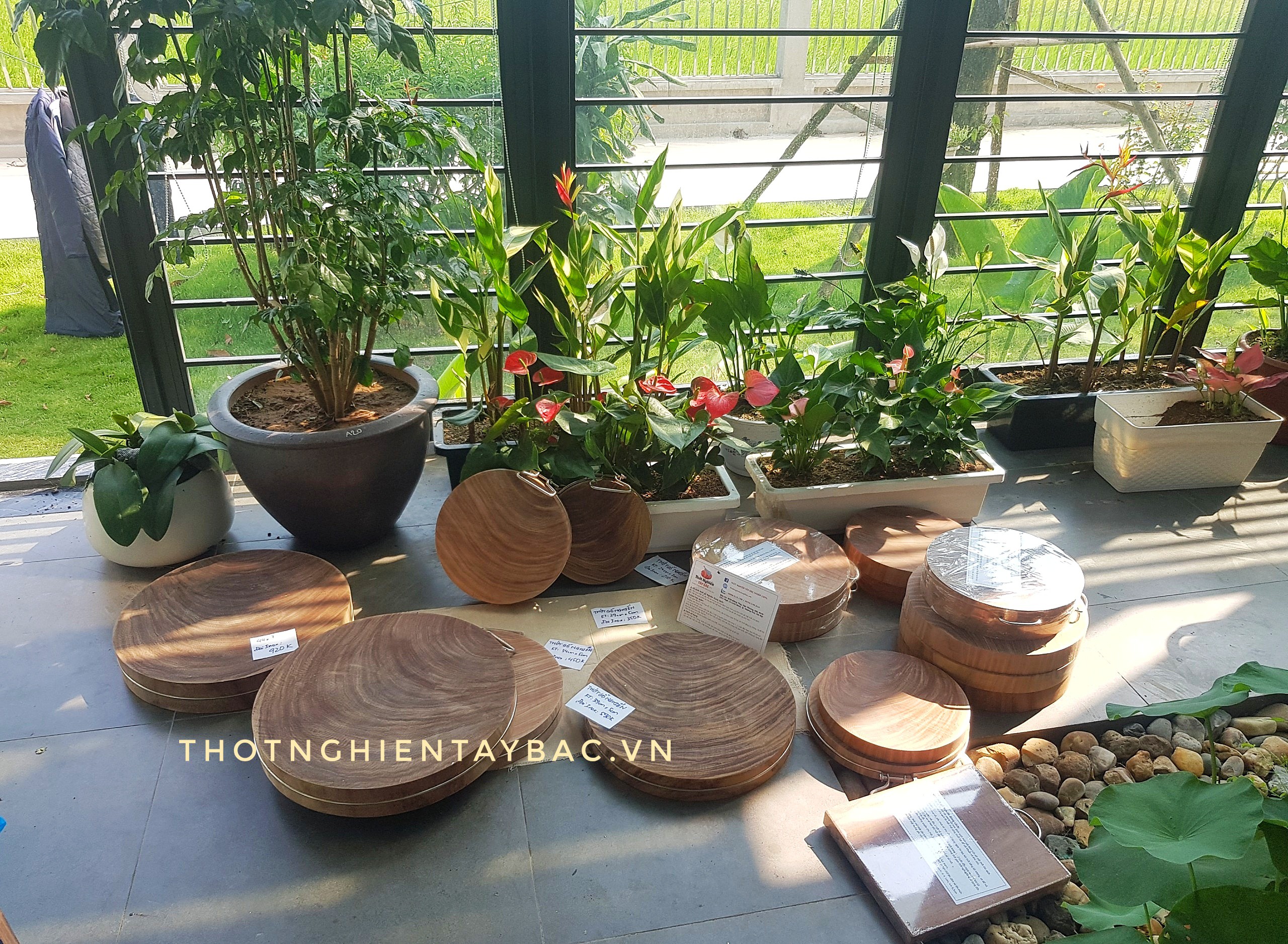 Combo Thớt chặt, thớt thái gỗ Nghiến | Family 1
