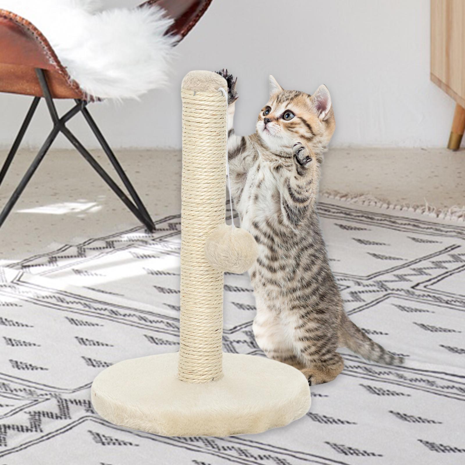 Cat  Kitten Cats Scratcher Scratch Poles Climbing Tree Beige