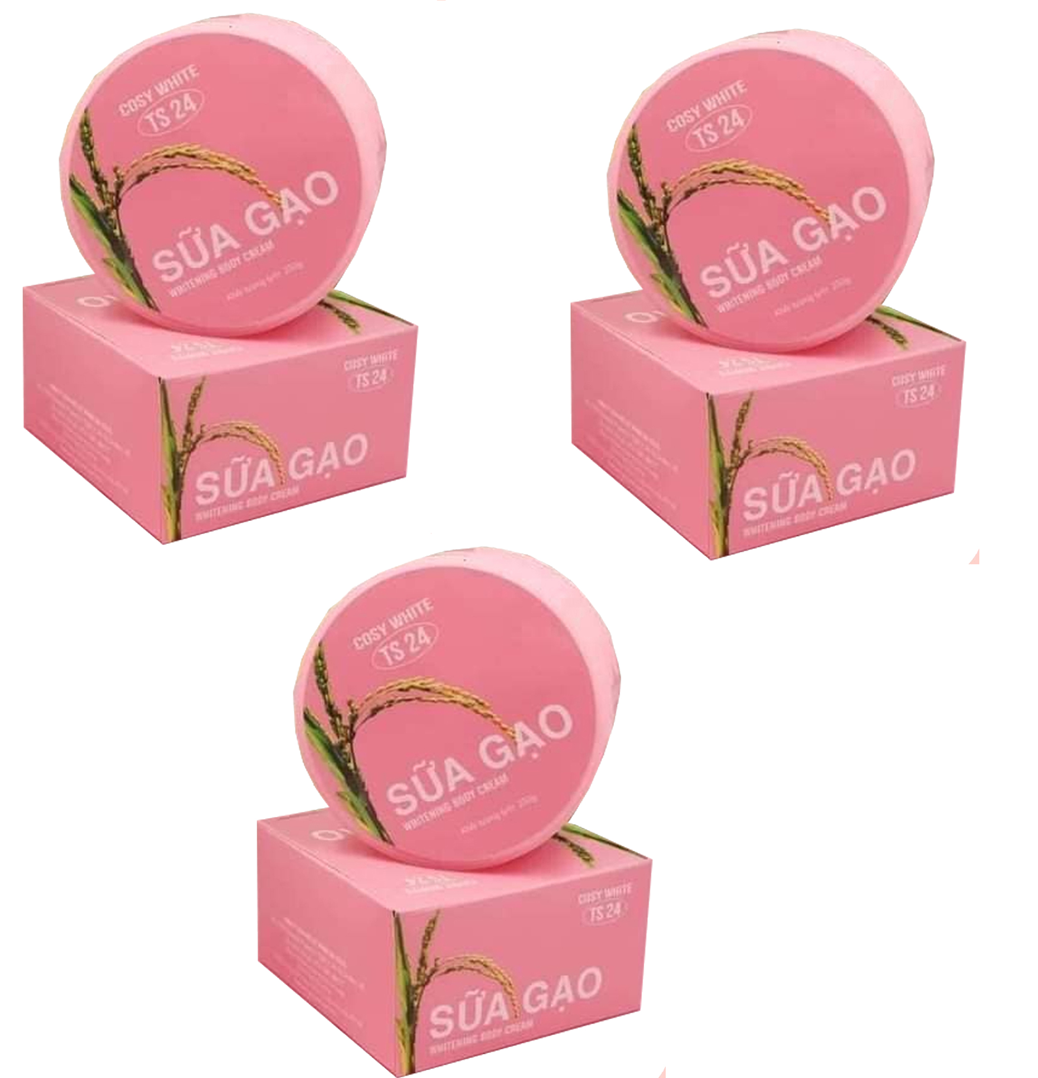 combo 3 KEM BODY  sữa gạo (250g)