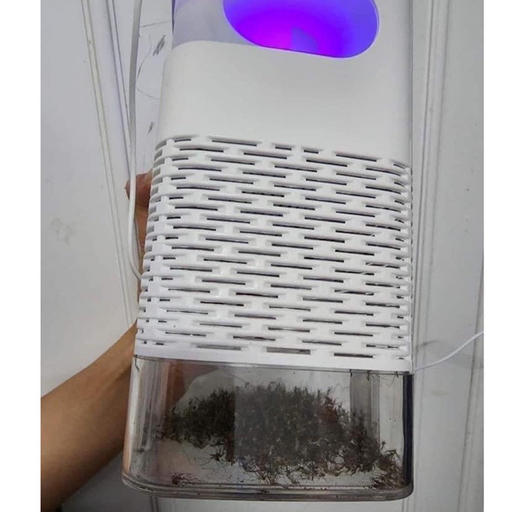 Đèn Bắt Muỗi – Máy Bắt Muỗi Diệt Côn Trùng Thông Minh Kiêm Đèn Ngủ Có Cổng Cắm USB - BM01 chính hãng miDoctor