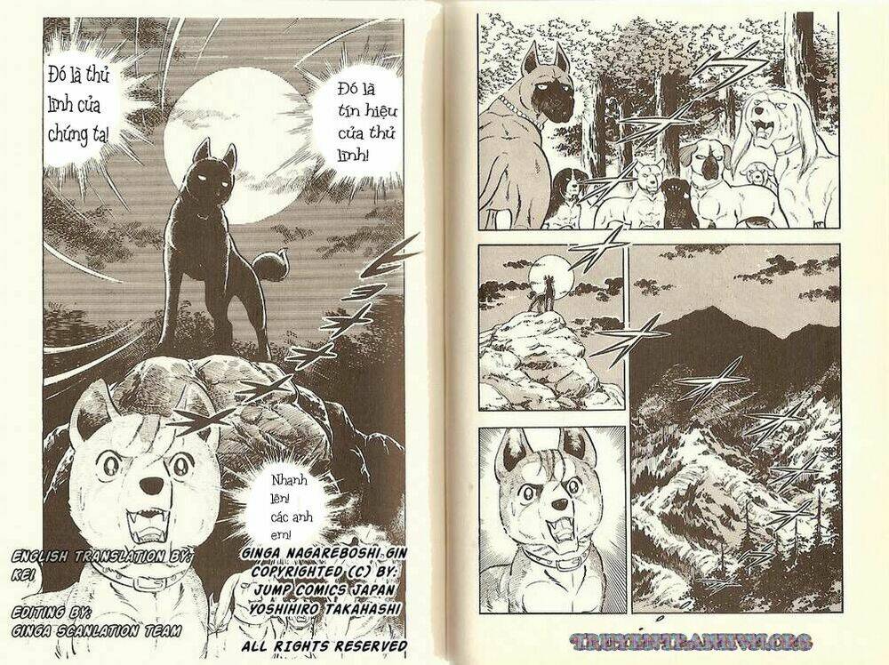 chú chó có nghĩa - ginga nagareboshi gin chapter 10 32