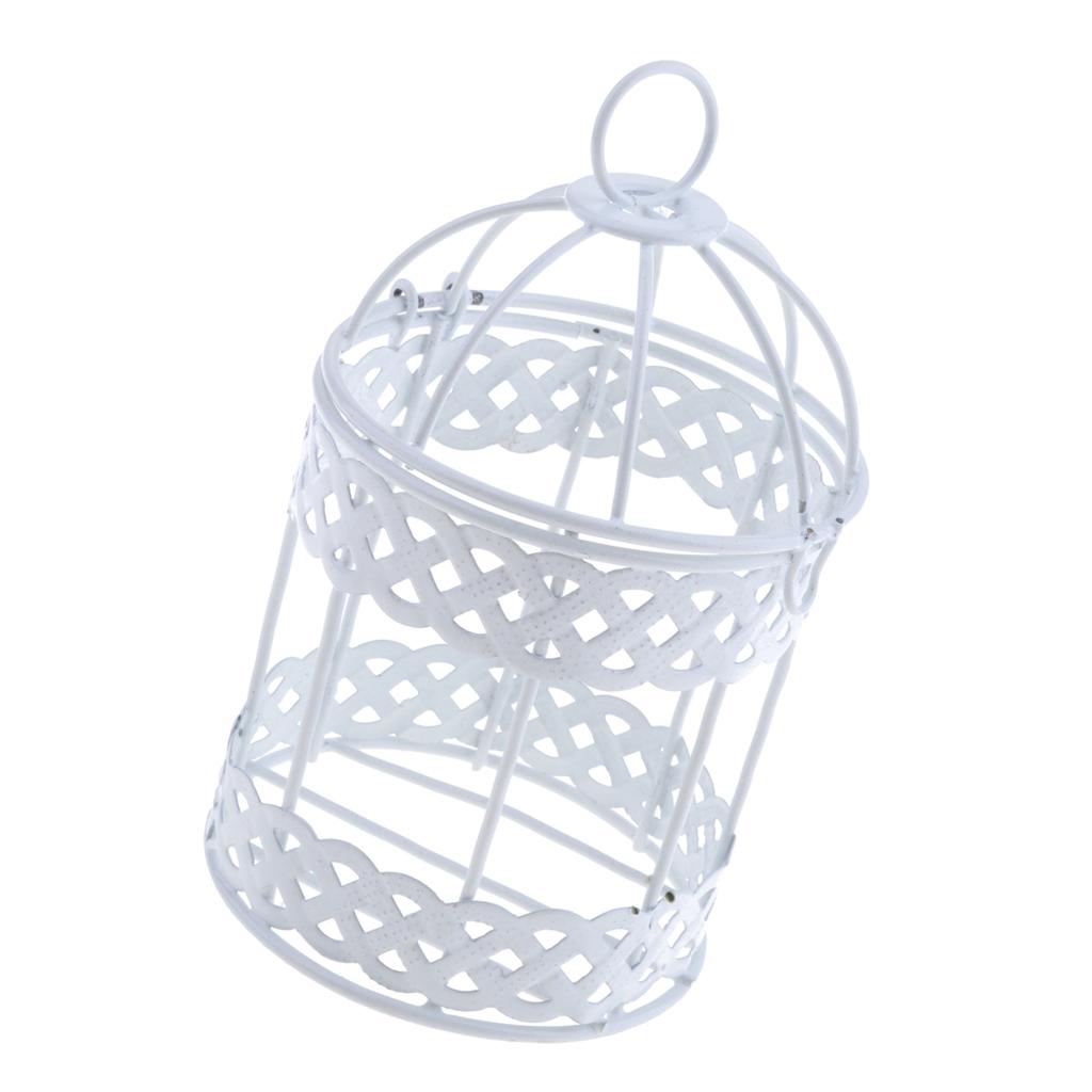2Pcs Iron Birdcage Frame Wire Succulent Pot Metal Planter Iron Plant Basket