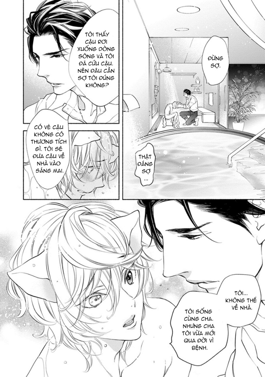 thú cưng muốn được yêu thương chapter 1 14