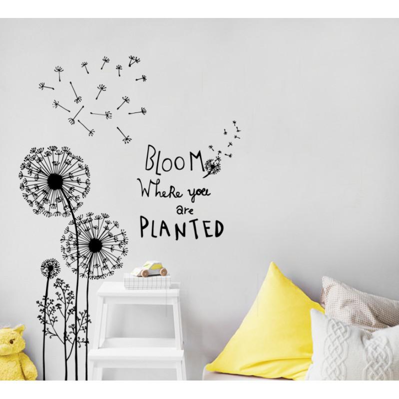 Decal dán tường trang trí - HOA BỒ CÔNG ANH TRẮNG ĐEN BLOM