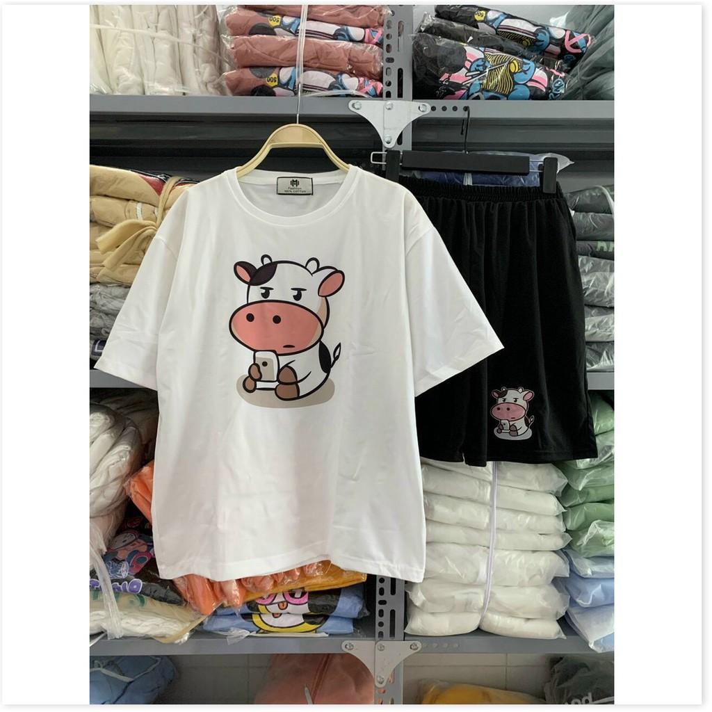 SET BỘ THUN COTTON NỮ XINH XẮN,THIẾT KẾ HỌA TIẾT HỢP THỜI TRANG MÙA HÈ,ĐẶC BIỆT LÀ CHẤT LIỆU VÃI THOÁNG MÁT KHÁNH AN STO