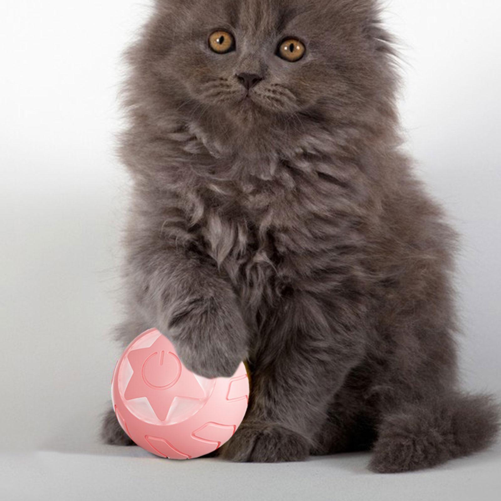Interactive Cats Ball Toy Kitten Traning Toys Pet Supplies Automatic Pet Exercise Balls for Indoor Cats Exercise Training