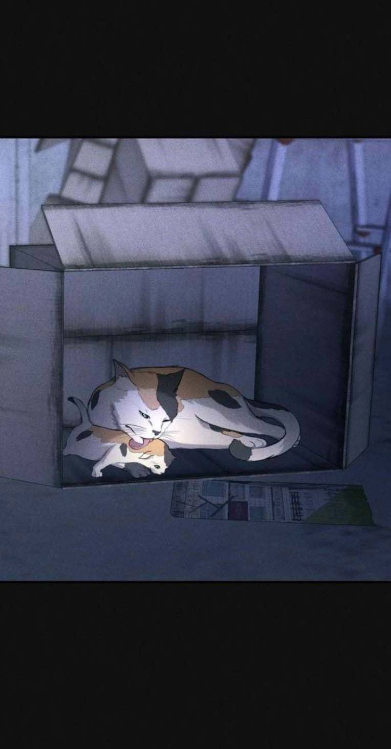 phòng kín chapter 19.1 3