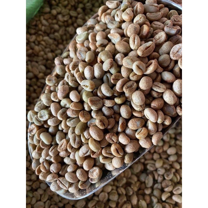 Nhân CAFE sống robusta