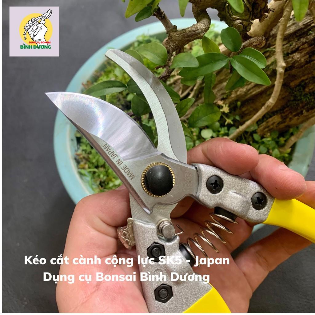 KÉO CẮT CÀNH CỘNG LỰC JAPAN – SK5 CẮT CÂY CẢNH BONSAI