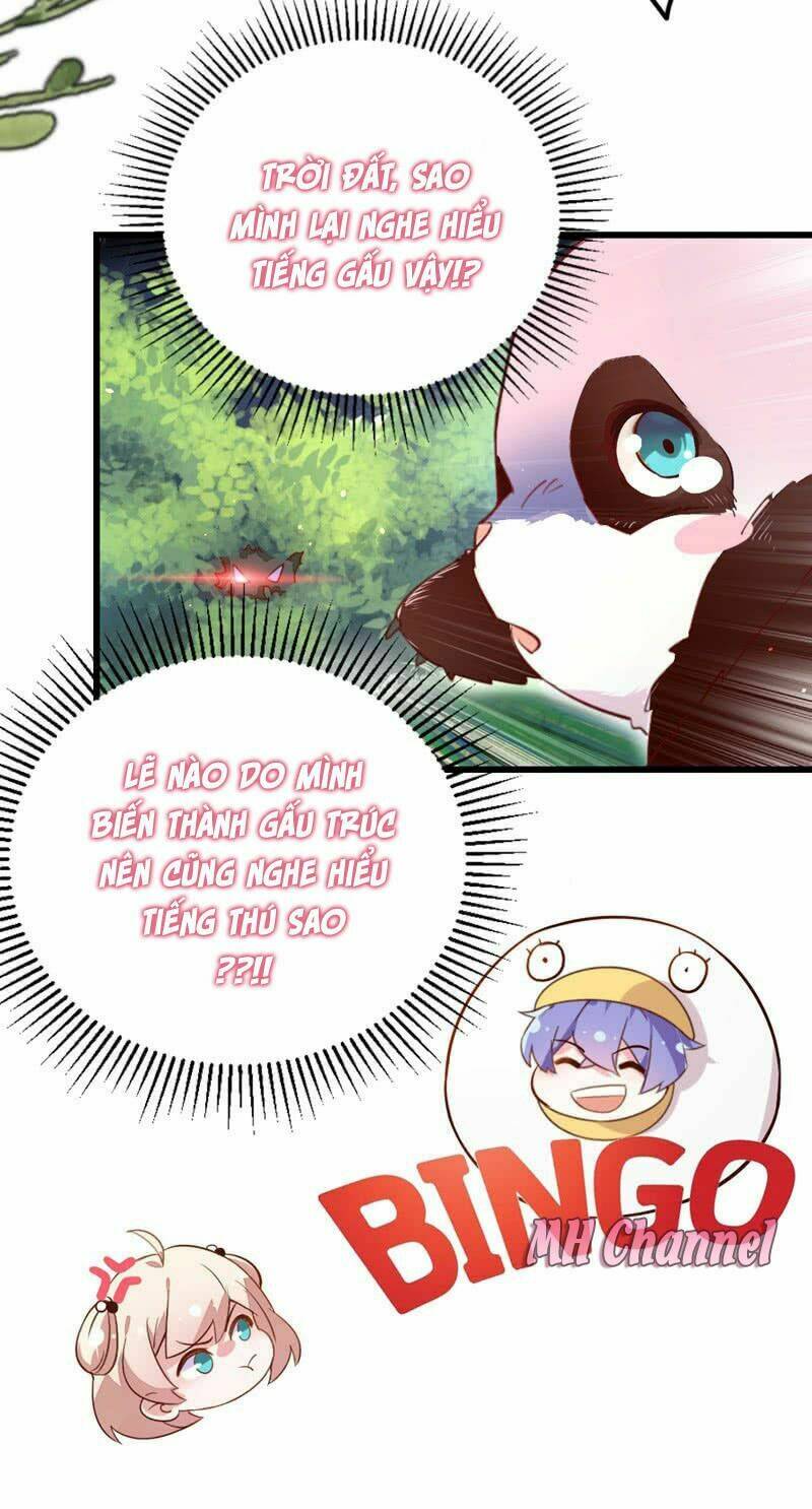 thiên thần gấu trúc muốn được ôm chapter 3 8