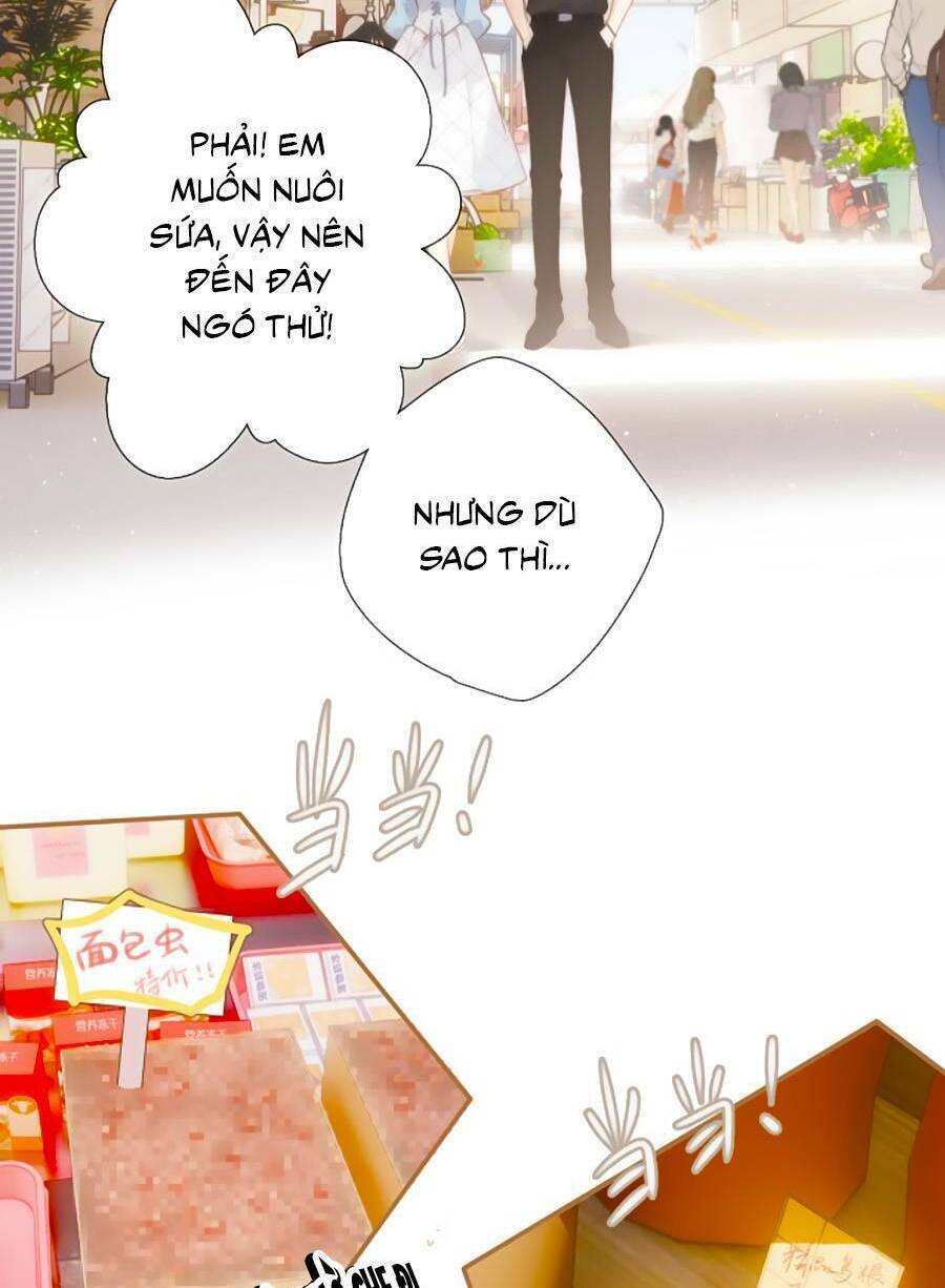 Lại Gặp Được Em Chapter 148.8 - Trang 3