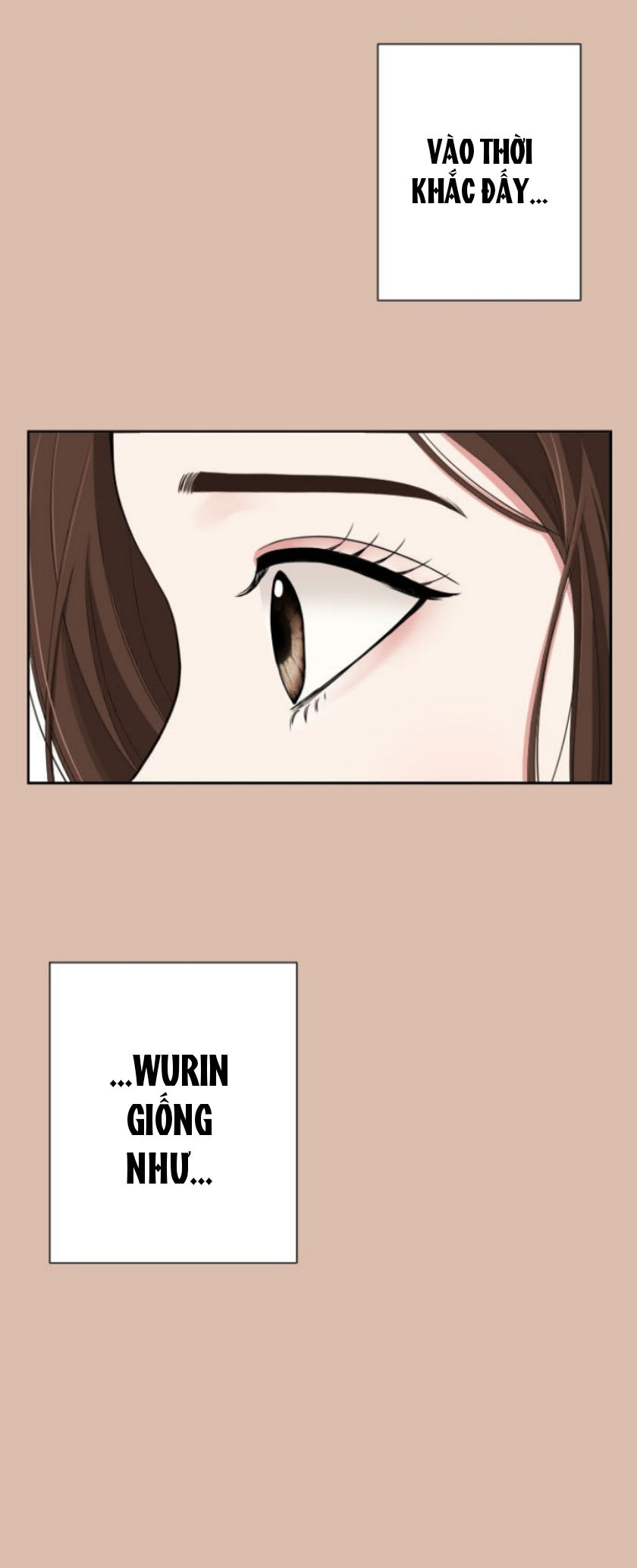 gửi em người đánh cắp những vì sao - to you who swallowed a star chapter 31.2 24