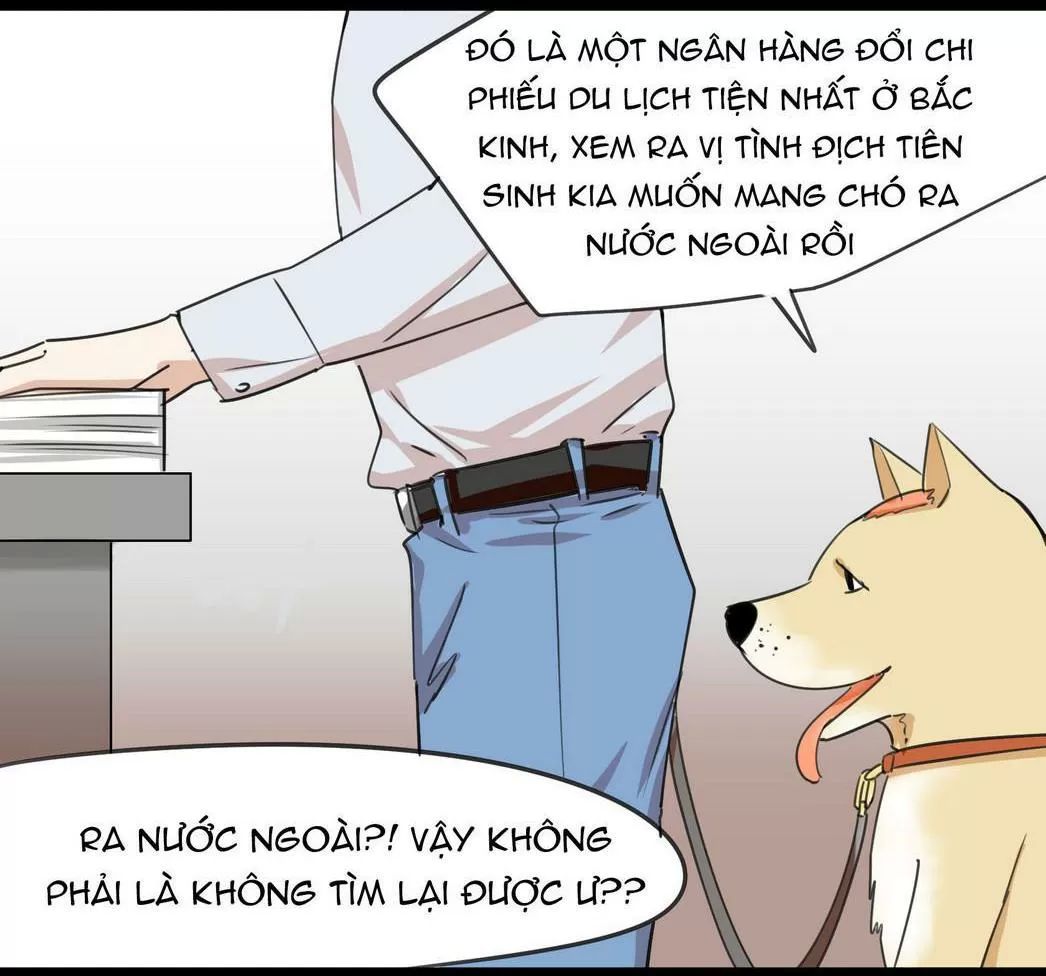 một con chó chapter 51 6