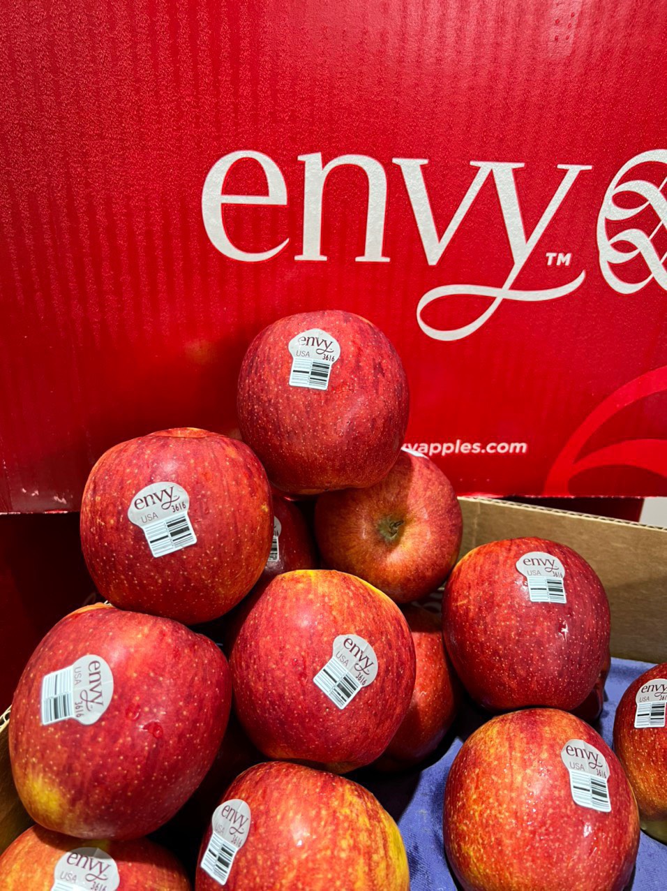 TÁO ENVY MỸ SIZE 100 - 06 TRÁI/1KG
