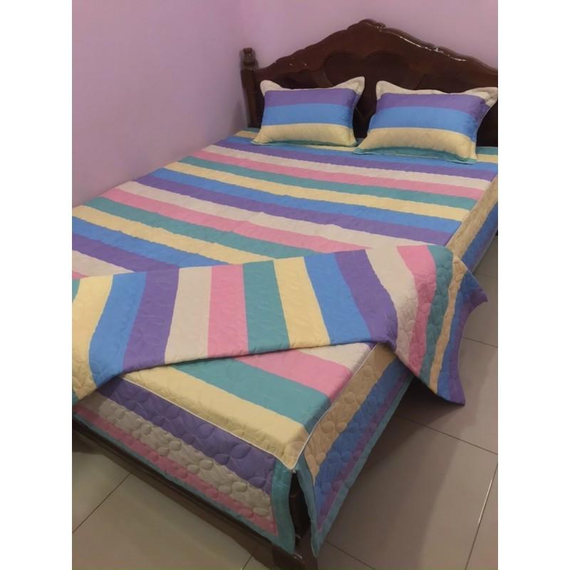 Bộ chăn ga gối trần bông ga phủ mẫu 4