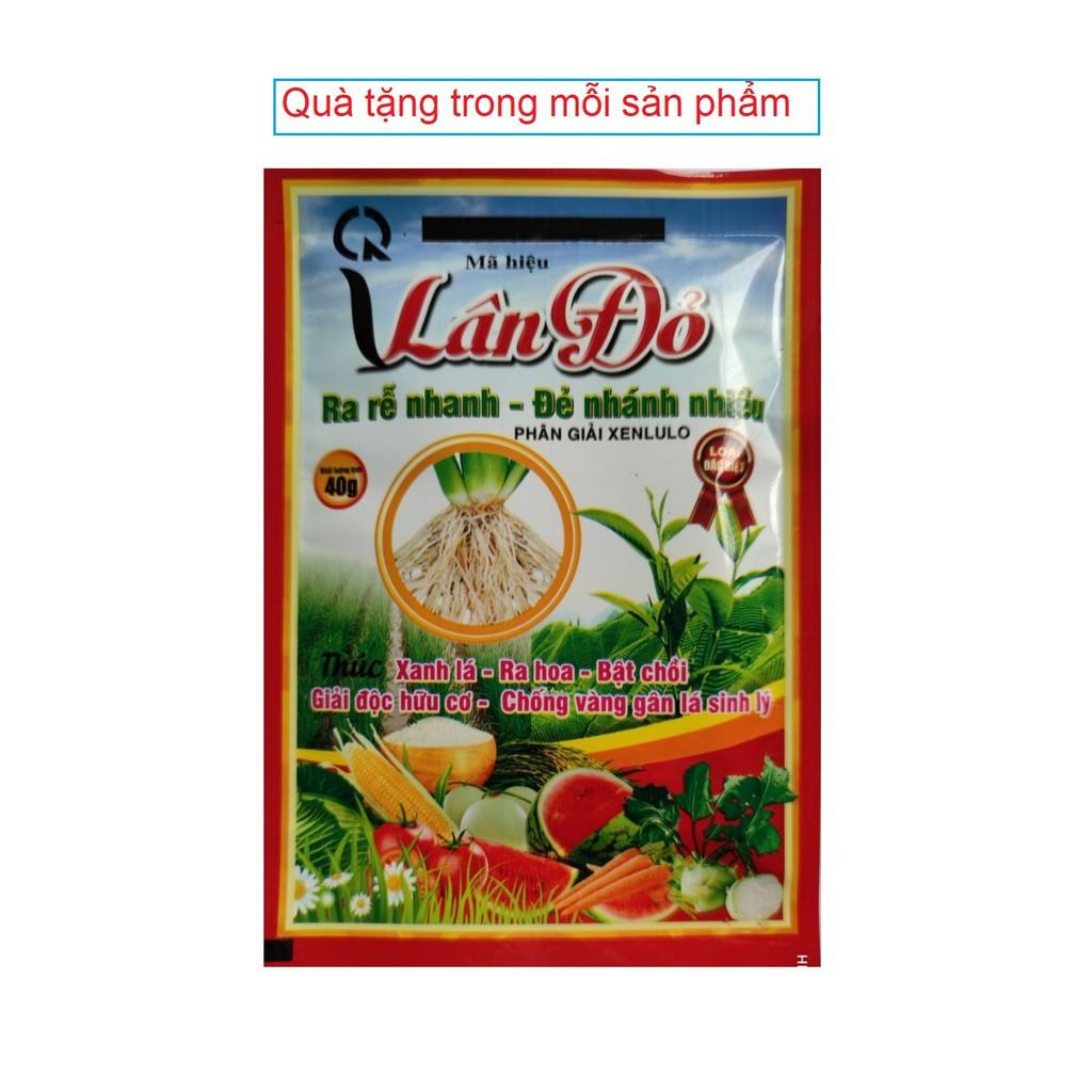 Nấm ủ Trichoderma 1kg chuyên ủ phân chuồng, phân hữu cơ, hạn chế nấm đất