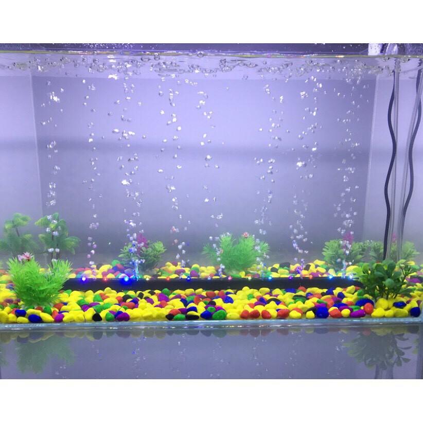 Đèn led đổi màu gắn sủi khí