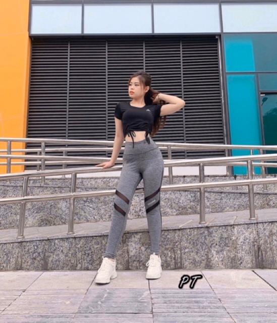 Quần tập cao cấp