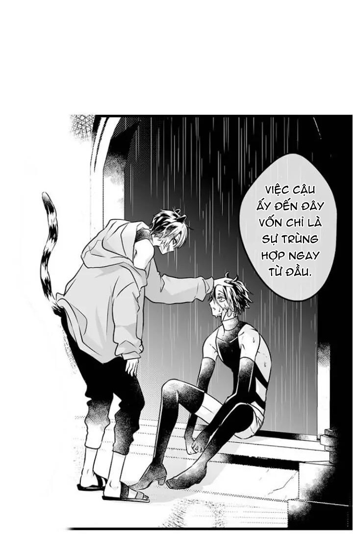 âu yếm đầu ngực của chàng gấu trong kỳ ngủ đông chapter 41 7