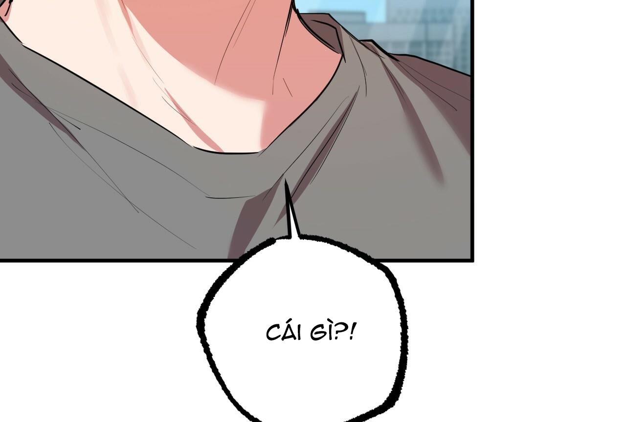 đàn thỏ của habibi chapter 28 211