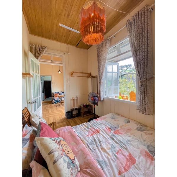 Set Cotton LiVing Cao Cấp Hàng Nhập Khẩu 4 Món BST Hello Summer Lá Khoai
