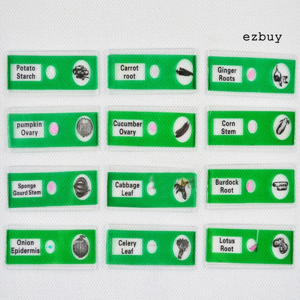 EY-12Pcs DIY Specimen Microscope Slides Children Biology Scientific Educational Toy