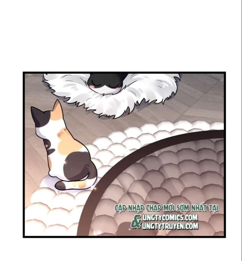 esport nhất kiến chung tình? chapter 15 32