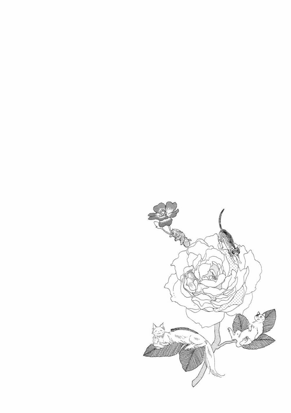 majo to neko no hanashi chapter 1 6