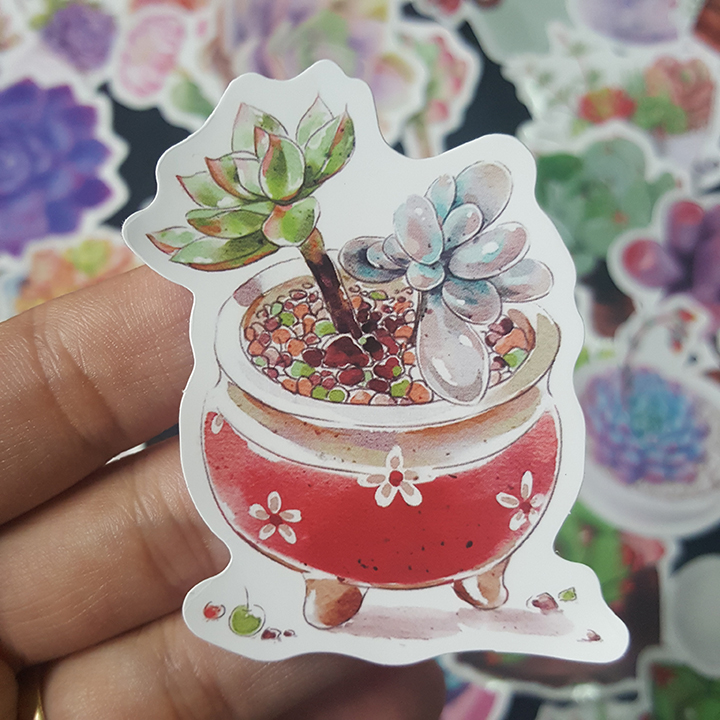 Bộ Sticker dán cao cấp chủ đề SEN ĐÁ SUCCULENTS - Dùng dán Xe, dán mũ bảo hiểm, dán Laptop