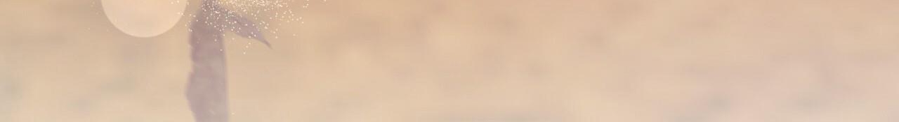 đàn thỏ của habibi chapter 48 315