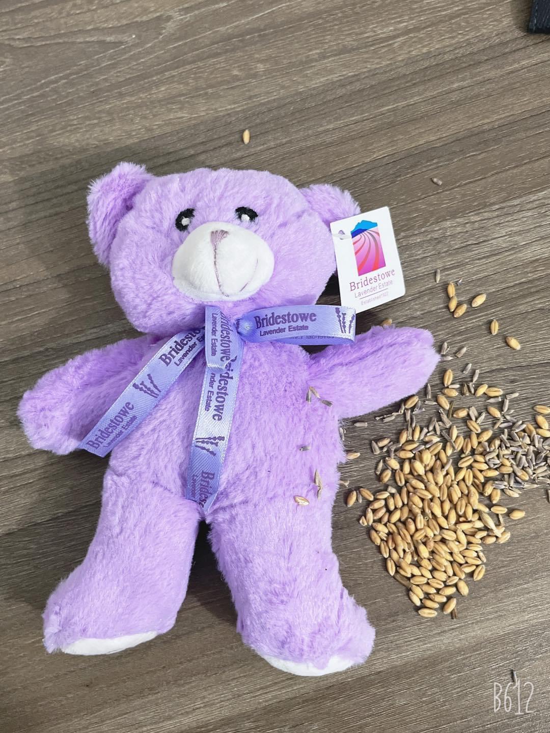 Gấu bông Úc nhồi nụ hoa oải hương Lavender và hạt lúa mạch Heat Pack Bear Bridestowe hương thơm dịu nhẹ, làm ấm bằng lò vi sóng
