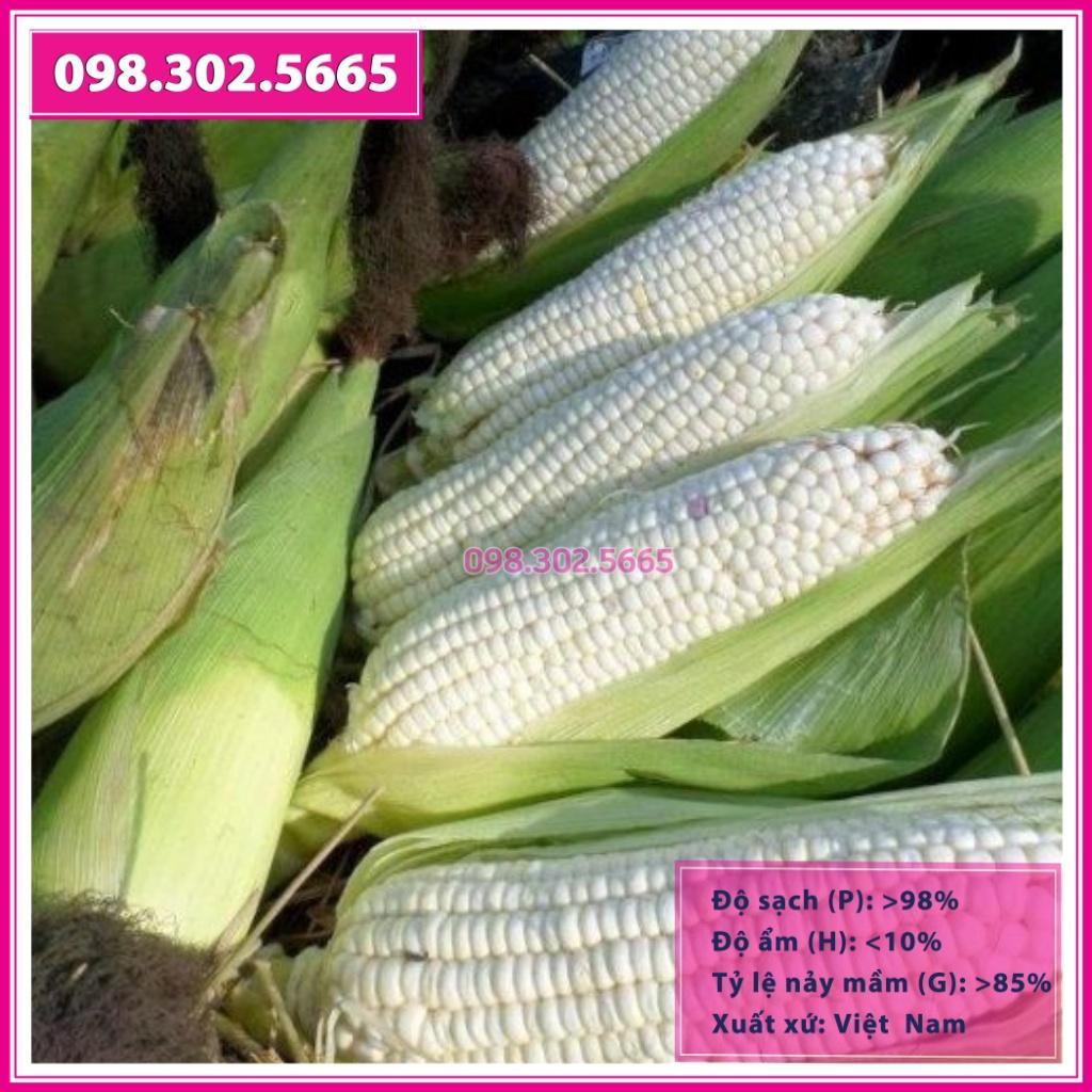 100g Hạt ngô nếp lai F1