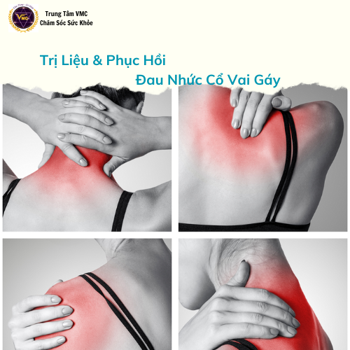 Khóa Học Video Online Liệu Pháp Giải Cơ Phục Hồi Và Trị Liệu Đau Nhức Cổ Vai Gáy - Trung Tâm Chăm Sóc Sức Khỏe VMC