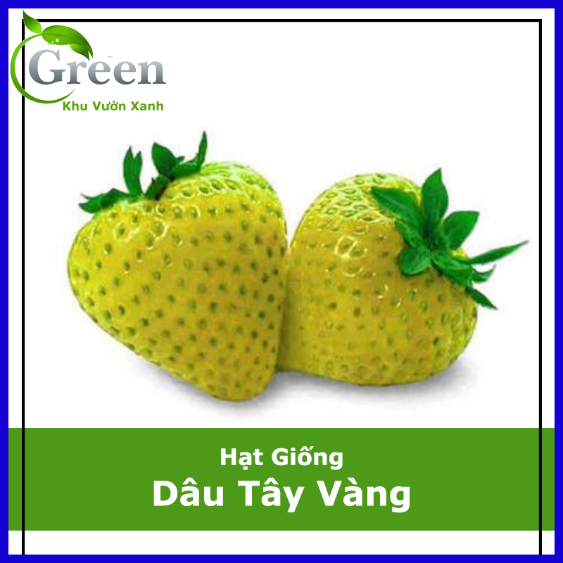 Hạt Giống Dâu Tây Vàng