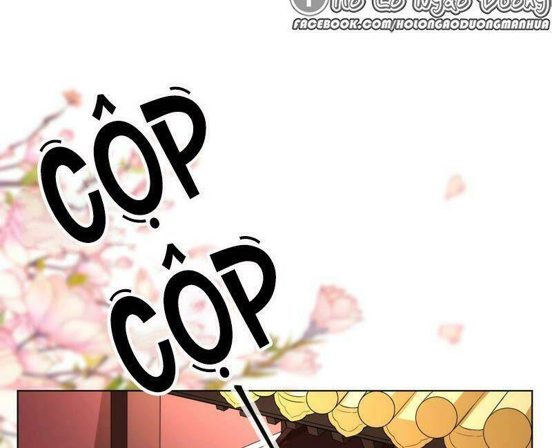 quận chúa vững vàng, thiết lập nhân vật không thể vỡ chapter 43 5