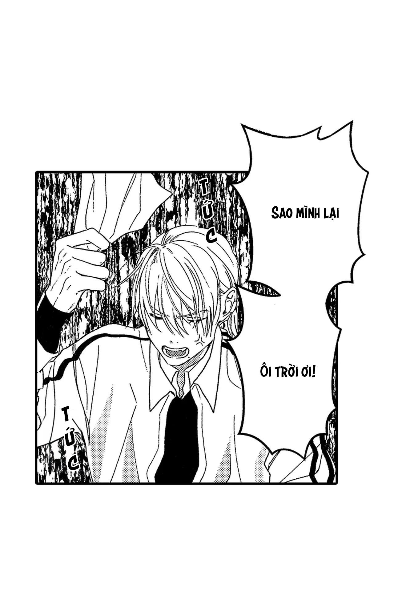 tái sinh thành một omega chapter 8 7