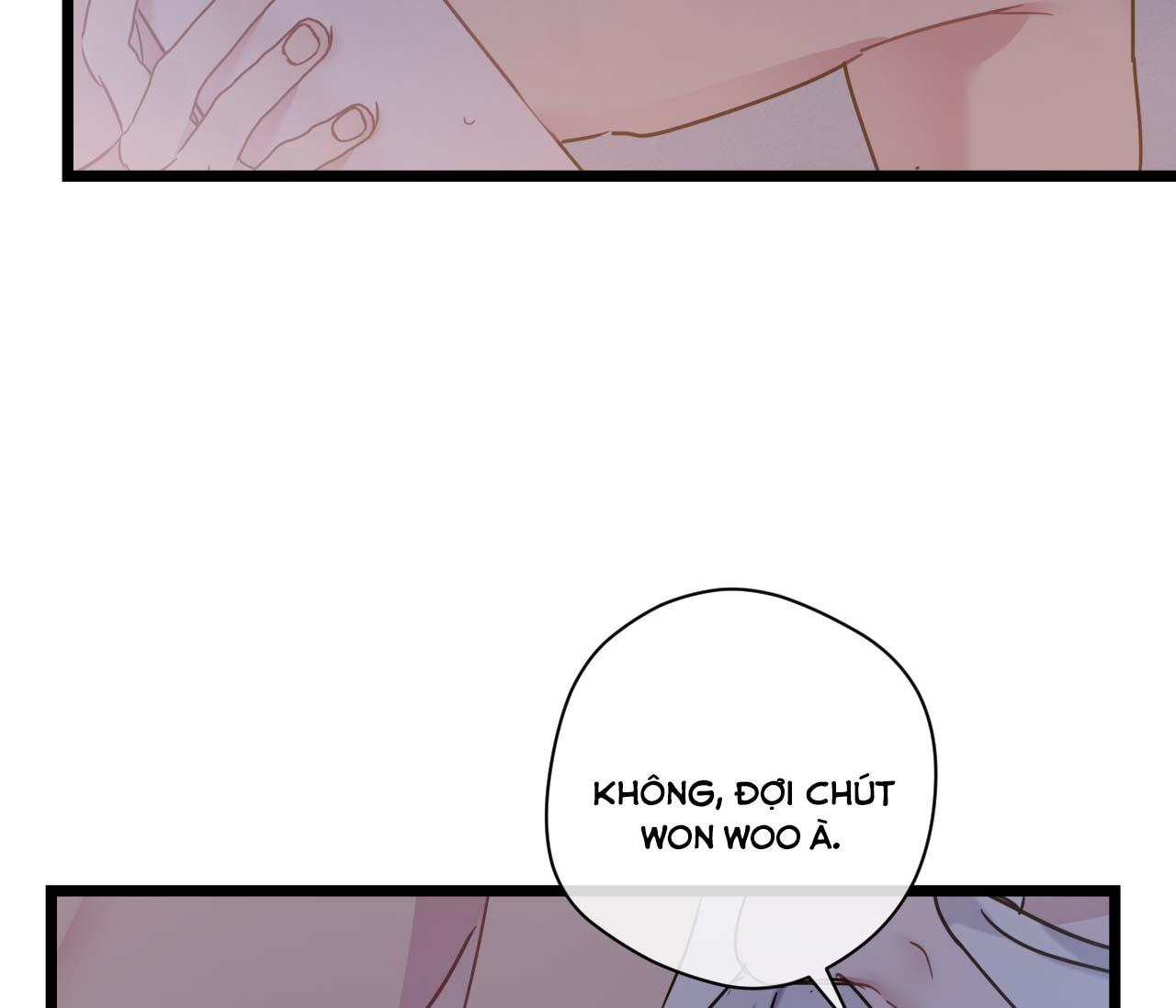 tình yêu bình dị nhất chapter 22 43