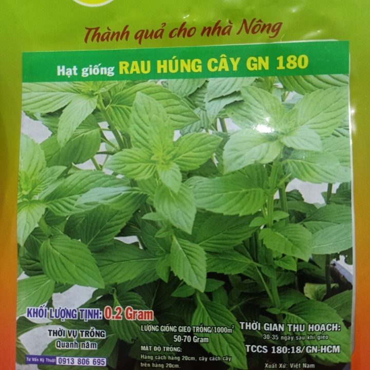 Hạt giống Rau húng cây GN 180 gói 0.2 gram