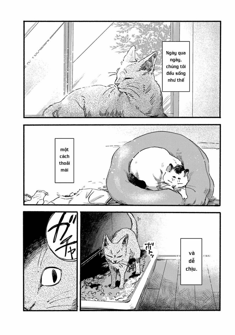 nekodamari chapter 2 6