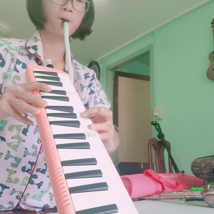 Kèn Melodion (Melodica hay Pianica) _ Dùng Hơi Thổi Và Bấm Như Đàn Organ _ Không Cần Dùng Điện