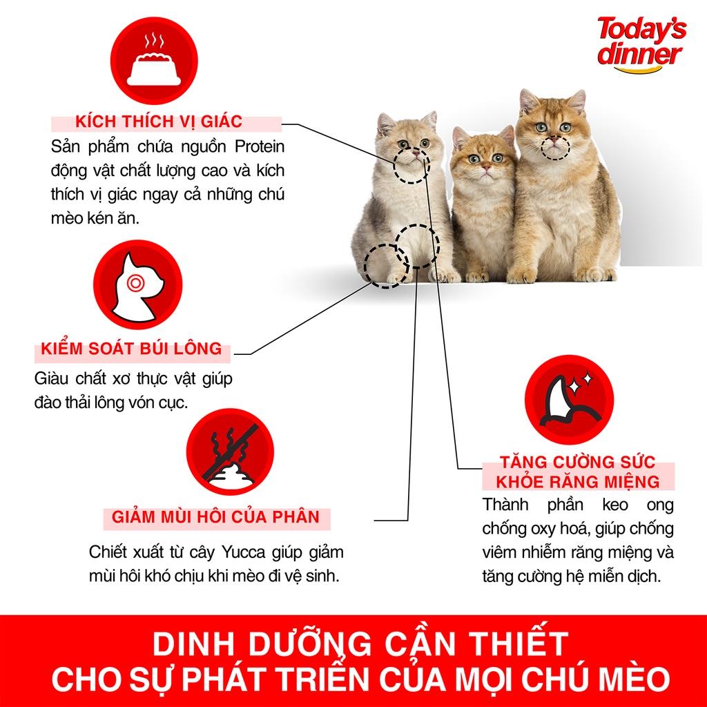 Thức ăn hạt cho mèo - TODAY'S DINNER thức ăn cho mèo 1KG