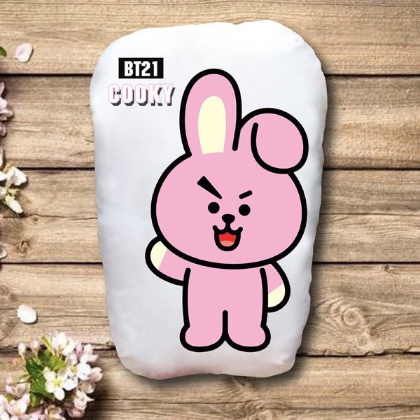 Gấu ôm BT21 2 mặt ảnh /gối ngủ bts bt21