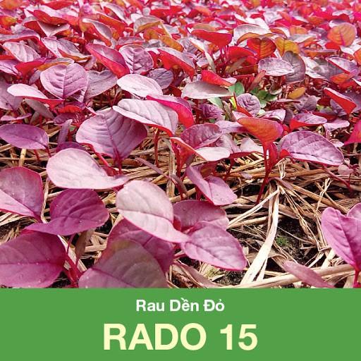 Hạt giống rau dền đỏ cao sản dễ trồng - 1 gói 20gr