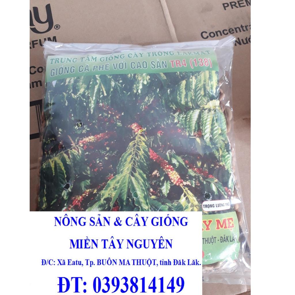 1 KG Hạt giống Cà Phê Vối cao sản TR4