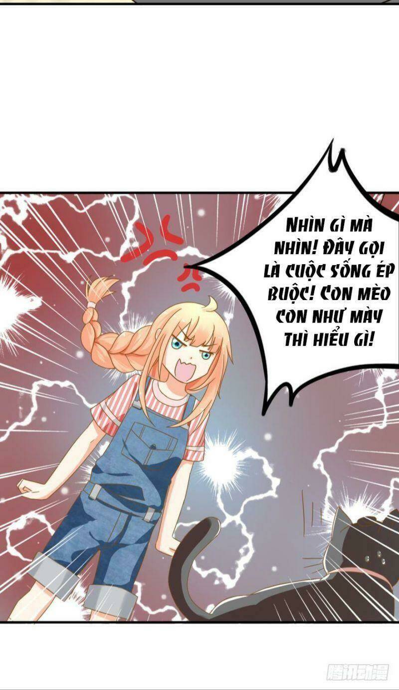 nhân ngư học trưởng, đừng ôm ta! chapter 63 35