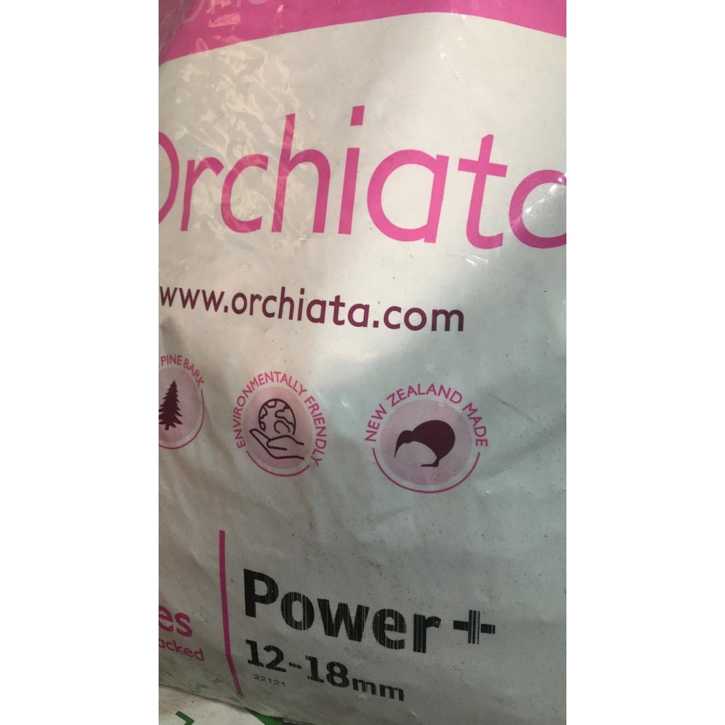 Vỏ Thông Orchiata các kích cỡ - Nhập khẩu Newzealand chia lẻ 1kg