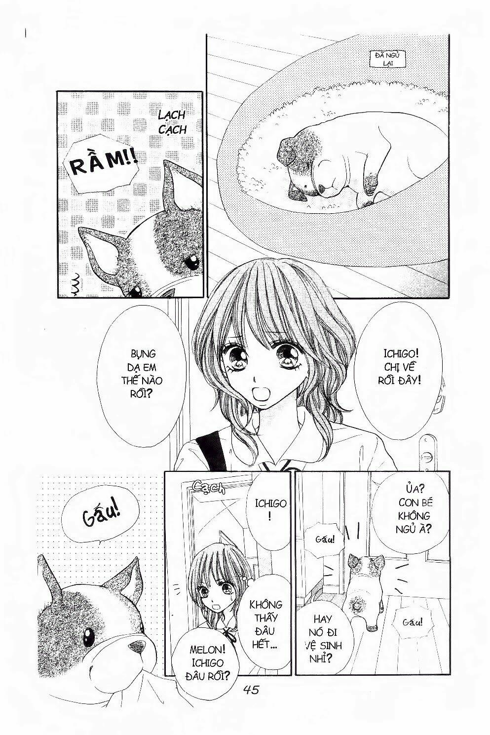 ichigo to anzu chapter 40 2