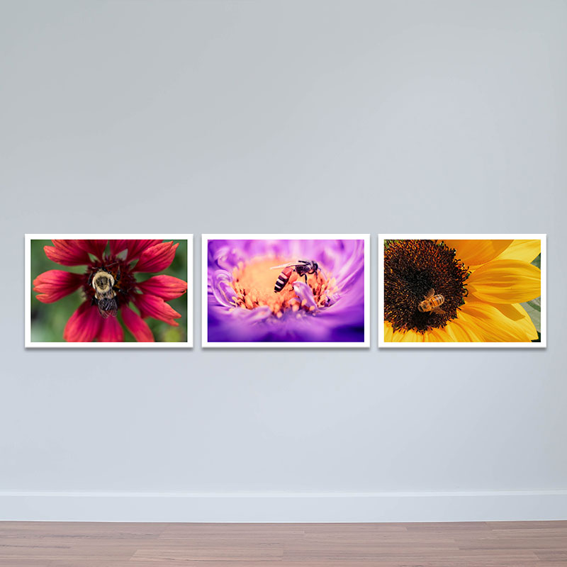 Bộ 3 tranh trang trí "Khoe sắc" | Tranh treo tường hoa lá W3418 Canvas Có Viền