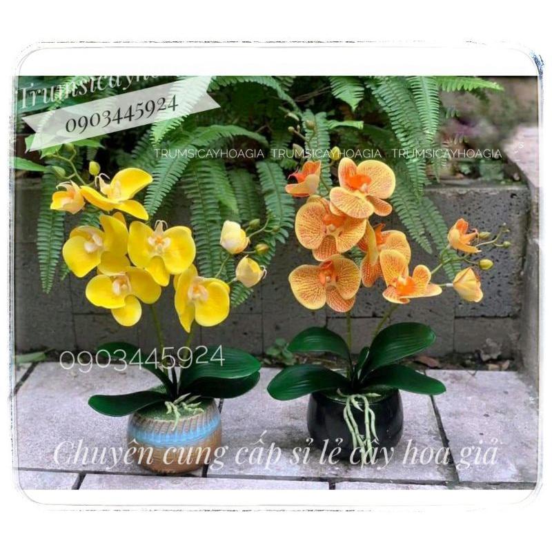 Cành lan casu 2 nhánh cao cấp giống thật nhập khẩu-Hoa giả