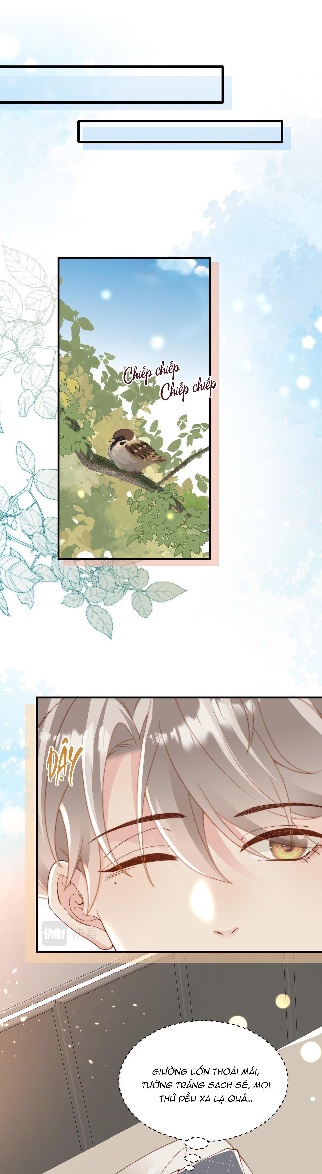 sau khi giả mất trí nhớ, tình địch nói tôi là bạn trai của hắn chapter 16 6